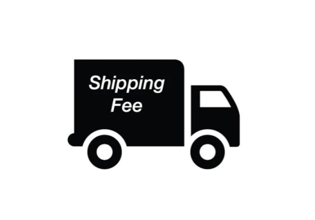 USD$15 transportation services(NOTE: support@sleviosport.com)